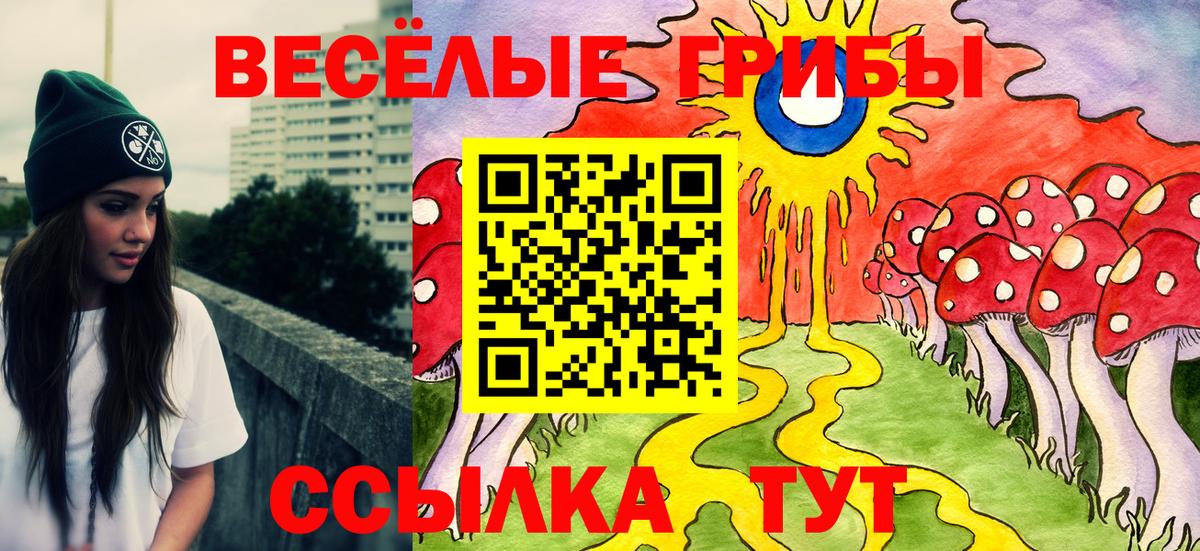 Псилоцибиновые грибы ЛСД Будённовск