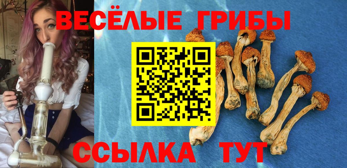 Галлюциногенные грибы MAGIC MUSHROOMS  Вход с VPN  магазин продажи   Будённовск 